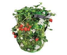 Vaso a Sacco per la Coltivazione di Fragole Tarpaulin ESSCHERT - 33 x 33 x 44 cm