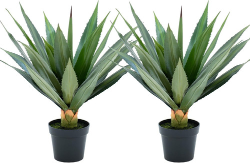 Piante agave artificiale - piante,