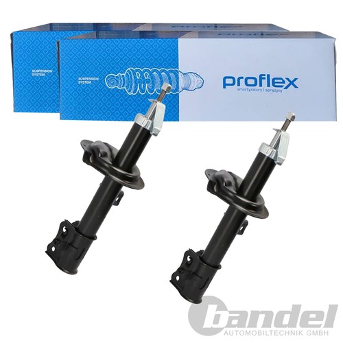 Ammortizzatori gas proflex - 2,