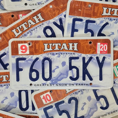 Targa sciatore utah - targa,