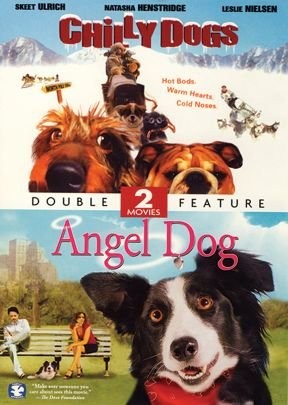Chilly dogs angel - chilly,