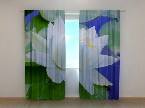 Tende fiore loto - di,