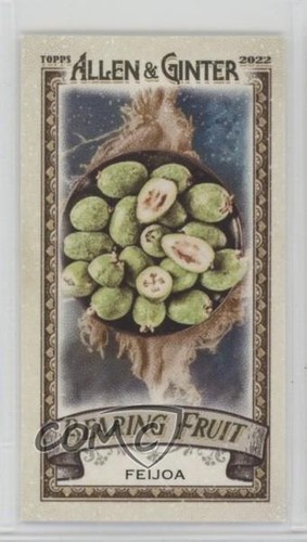 2022 topps allen ginter - topps,