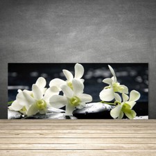 125x50 Paraschizzi in Vetro