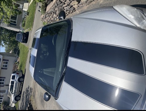 Dual rally racing stripes - stripes, 3m