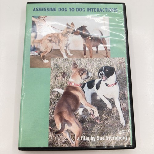Assessing dog - assessing,