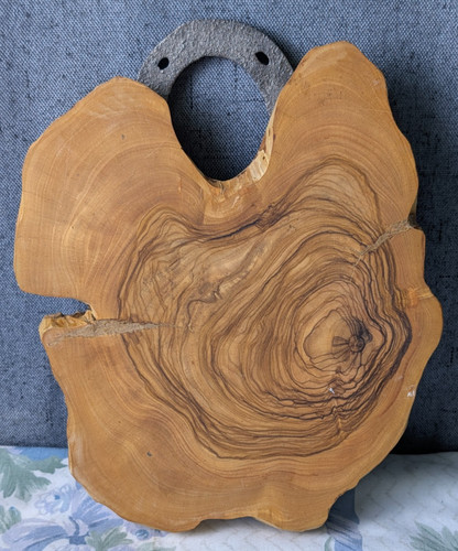 Fetta albero ulivo naturale