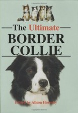 The Ultimate Border Collie