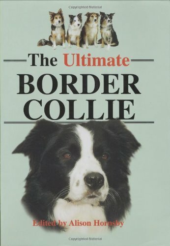 The ultimate border collie - the,