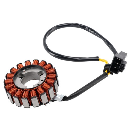 Stator magneto for - stator,