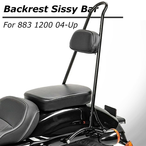 Black tall sissy - bar, passenger
