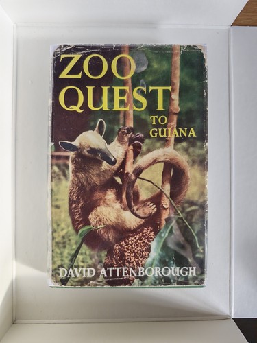 Zoo quest guiana 1st - guiana,