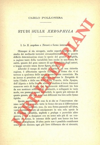 Malacologia continentale - ,
