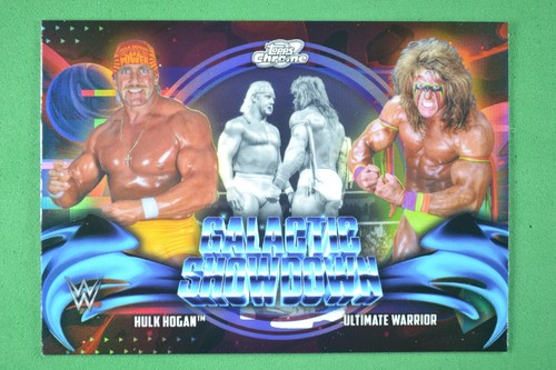 Hulk hogan ultimate warrior - hulk,