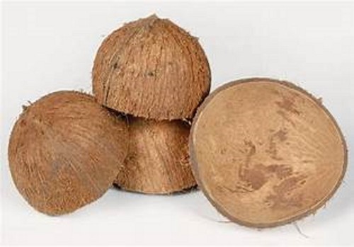 Ceylon guscio cocco - ceylon,