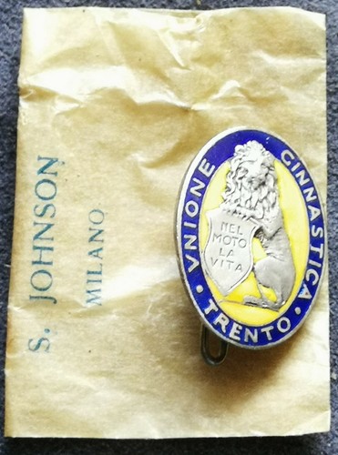 Distintivo unione ginnastica - distintivo,