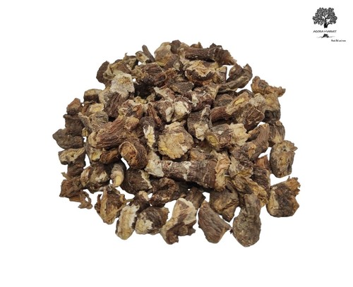 Radice essiccata tagliata - radice, di