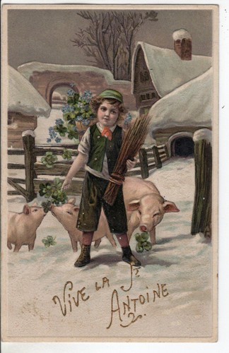 Cartolina stampata rilievo - cartolina, in