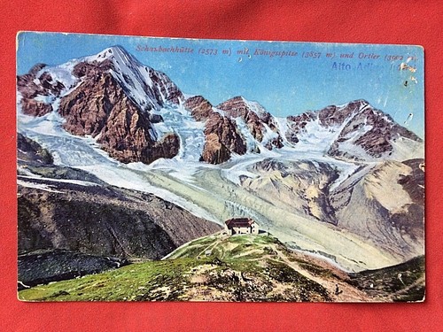 Ortler ortles - 🌈🇮🇹ortler,