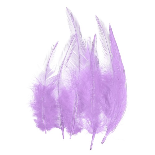 Pluma gallo silla - pluma, de