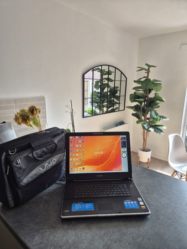Portatile ufficiale sony vaio - sony,