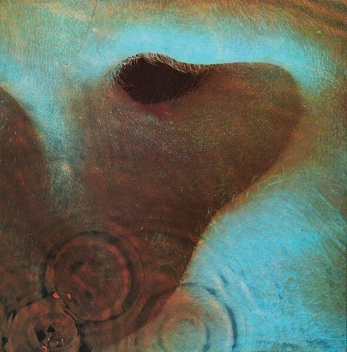 Pink floyd meddle - pink, ‎–