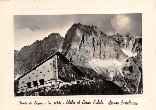 Cartolina ponte di legno - -,