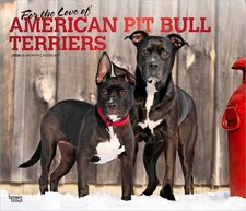American Pit Bull Terrier |