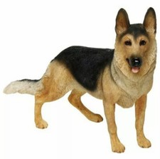 Alsatian German Shepherd Dog
