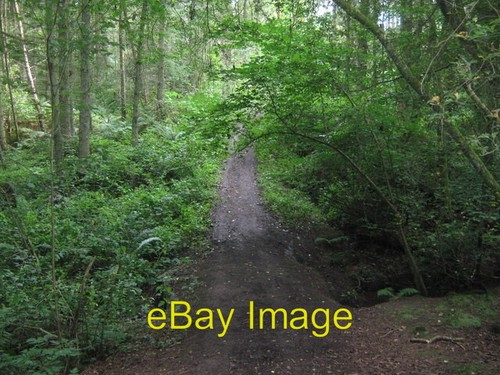 Photo 6x4 footbridge horse - 6x4, in
