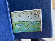 PANINI ALBUM L'APE MAIA 2007