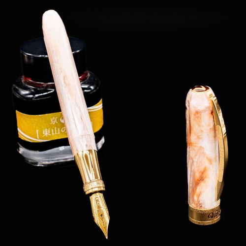 Penna stilografica visconti - penna,
