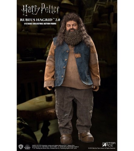 Harry potter rubeus hagrid - potter,