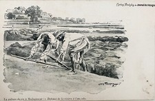 Coltivazione del riso in Madagascar. Illustrazione Louis Tinayre sulla cartolina.