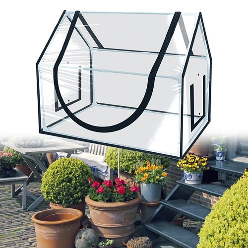 Serra con struttura pvc - serra,