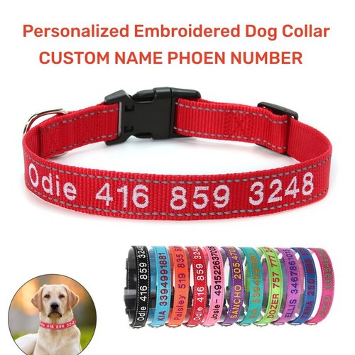 Collare cane personalizzato
