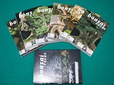 Bonsai Focus - Rivista di Arte