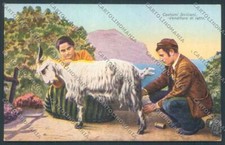 Palermo Costumi Capre