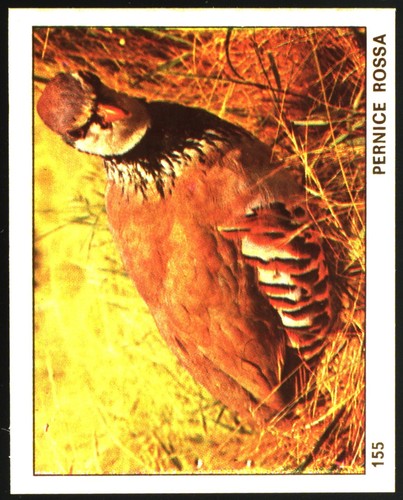 Mondo degli animali - degli,