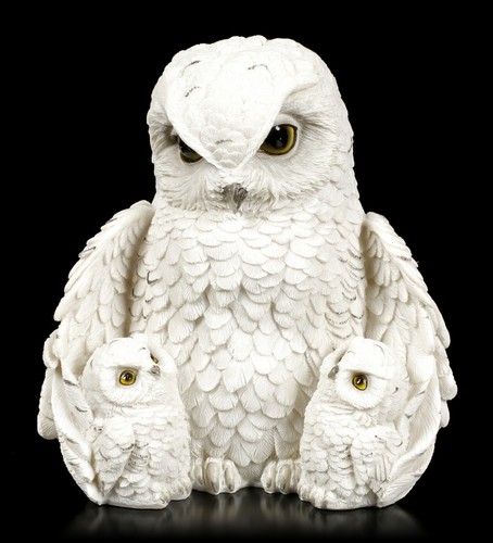 Statua gufi feathered family - -,
