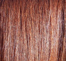 Borsa cotone 1 libbra