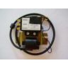 centralina eletronica modifica