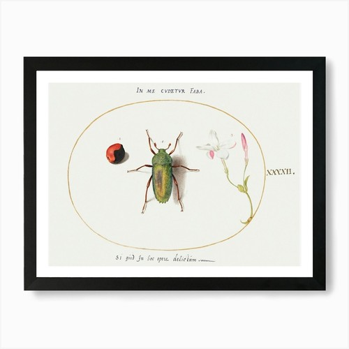 Quadro stampa tela poster - su,