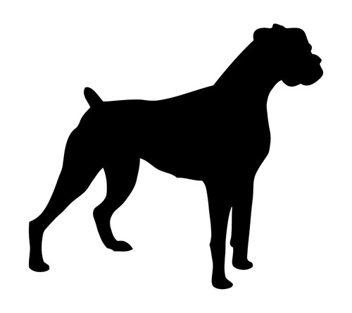 Adesivo boxer vinile - boxer,