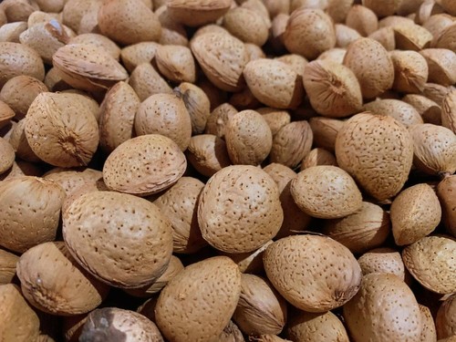 Mandorle farina bio dalla - e,