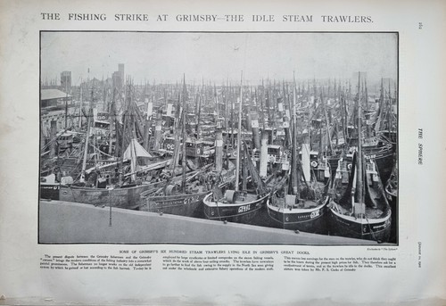 1901 stampa pesca colpo - 1901,