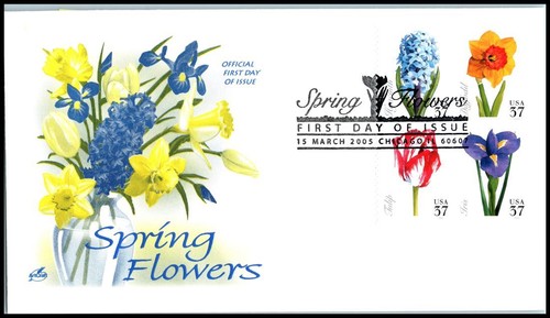 2005 spring flower - spring, sc