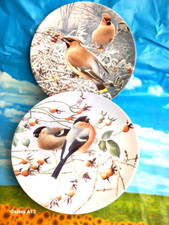 DUE PIATTI D'ARTE UCCELLINI RARA PORCELLANA INGLESE WEDGWOOD SERIE FROSTY WINTER