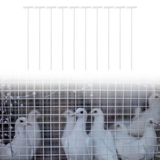 10 pezzi di ingresso di TOP