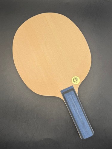 Racchetta ping pong tipo - racchetta, da